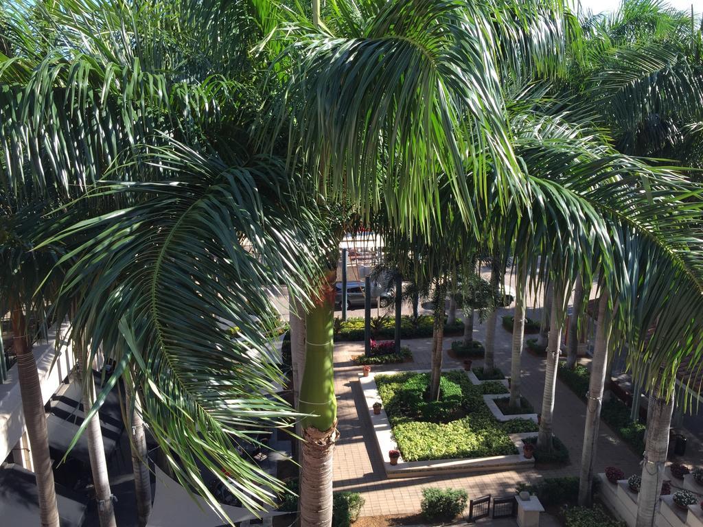 Lyx Suites At Merrick Park In Coral Gables Rum bild